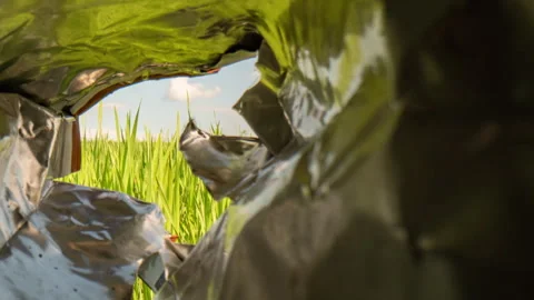 Point of view shot from inside a plastic package revealing a clean green... Stock Footage 344744737
