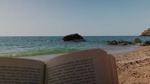Point of View Shot Reading a Book on Quiet Pebble Beach Video stock 345061263