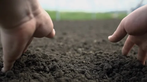 Point of view shot of two hands grabbing the soil and letting it to fall back Video stock 38166696