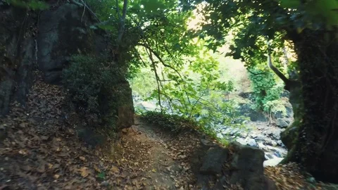 Point of view shot of a walk alone in the nature Stock Footage 80944058