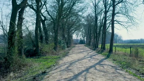 Point of view shot walking along a dirt road in the woods Stock Footage 335026968