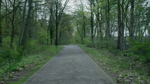 Point of view shot walking along a path in a spring forest Vídeo Stock 336594534