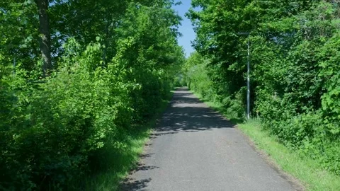 Point of view shot walking on a narrow path in a dense green forest Stock Footage 336903127