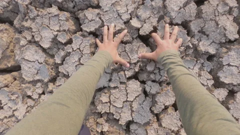 Point of view shot of a young farmer falling on knees on a drought hit field Stock Footage 150278069