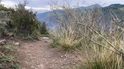 Point of view of small animal steps on the track high in the mountains of Altai Video stock 253256731