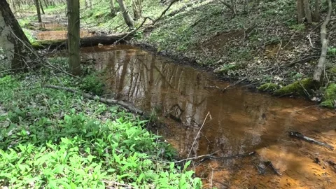 A Point of View of a Small Stream in 2022 With Traces of Acid Mine Drainage Stock-Footage 192640073