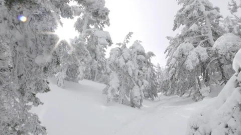 Point of view with sunbeams between branches of frozen trees on a snowy hill Stock Footage 86792132