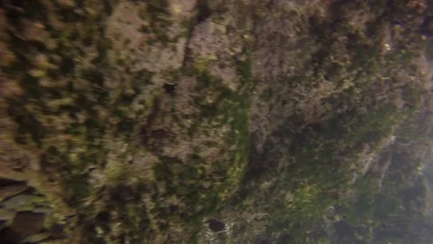 Point of view of swimmer getting caught in rough ocean surf Stock Footage 83519417