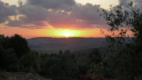 Point of view throw the trees colorful Sunset. 4k resolution. Stock Footage 116053145