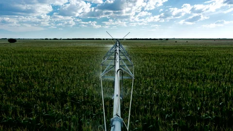 Point of view time lapse on top of center pivot irrigating a field of corn Stock Footage 163046542