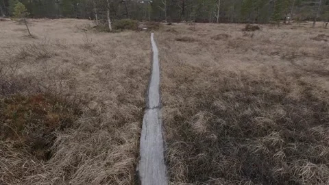 Point-of-view tracking shot walking along a wooden boardwalk in a marshland. Stock Footage 318918670