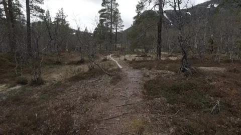 Point-of-view tracking shot walking along a muddy forest path Stock Footage 318918673