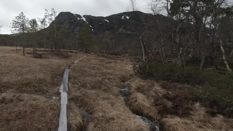 Point-of-view tracking shot walking along a wooden boardwalk in a marshland. Stock Footage 318918675