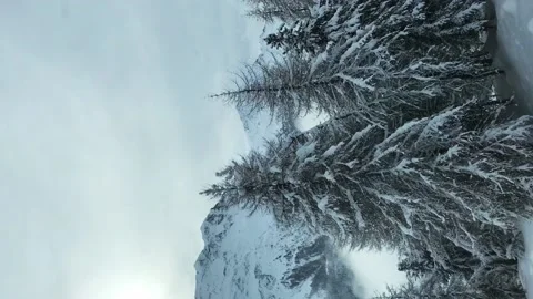 Point of view of train cross mountain and forest. Winter day. Vertical Stock Footage 221045212