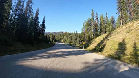 Point of view from a vehicle driving along a northern park road with the morning Stock Footage 334945479