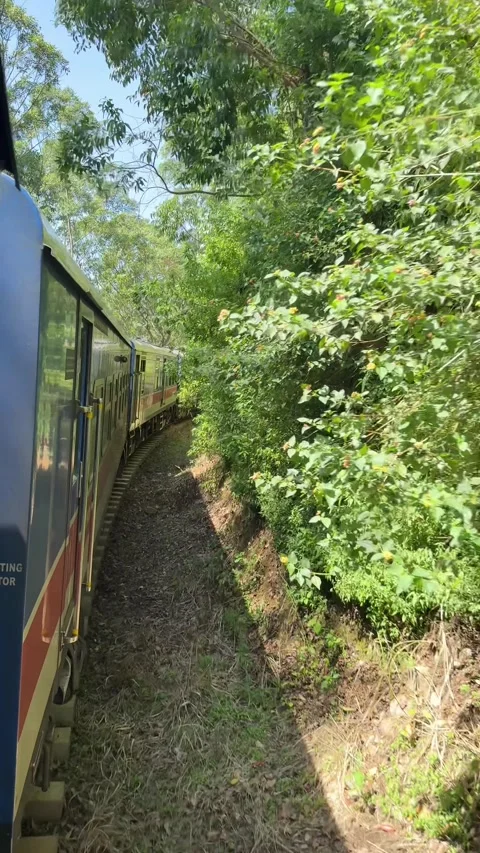 Point-of-view video from the famous Sri Lankan scenic train Stock Footage 325793734