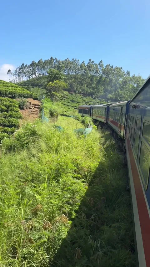 Point-of-view video from the famous Sri Lankan scenic train Stock Footage 325793738