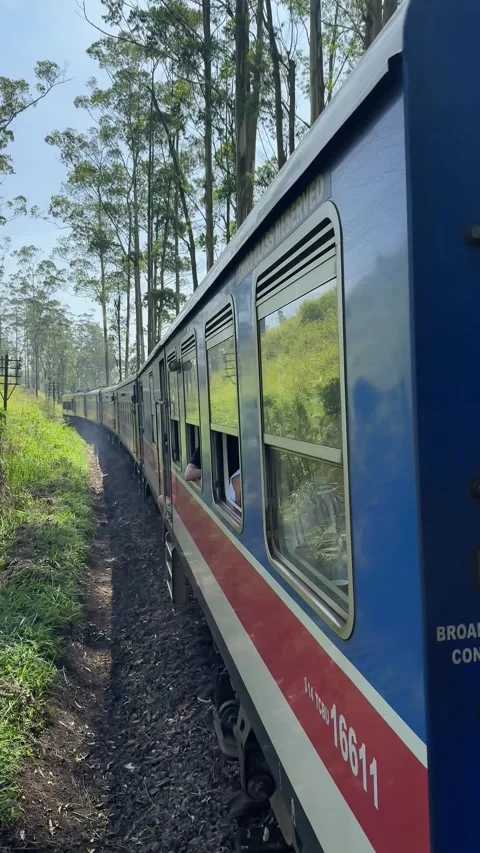 Point-of-view video from the famous Sri Lankan scenic train Video stock 325793876