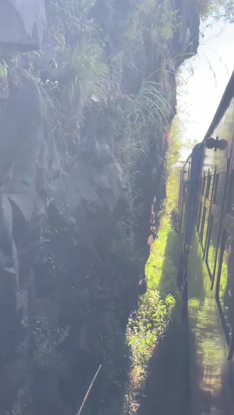 Point-of-view video from the famous Sri Lankan scenic train Stock Footage 325794065