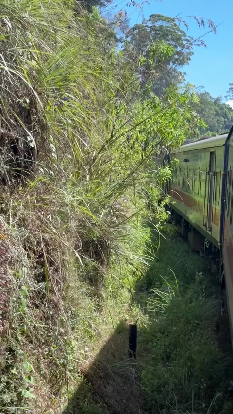 Point-of-view video from the famous Sri Lankan scenic train Stock Footage 325794069