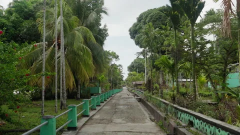 Point of View in a  Village Stock Footage 203989547