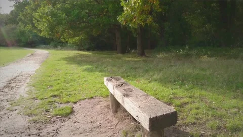 Point of view walk to and sit on a rustic wood bench in the forest. 4k video Stock Footage 141453005