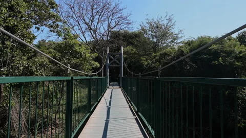 Point of view of a walk over a hanging bridge Stock Footage 202973091