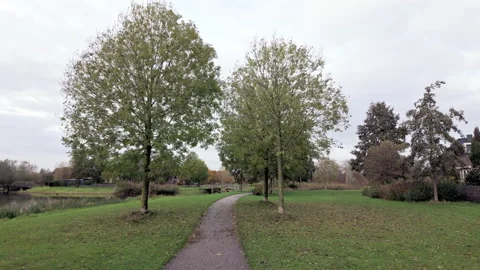 Point of view Walk in the park passing autumn coloured trees. 60FPS Stock Footage 256078431