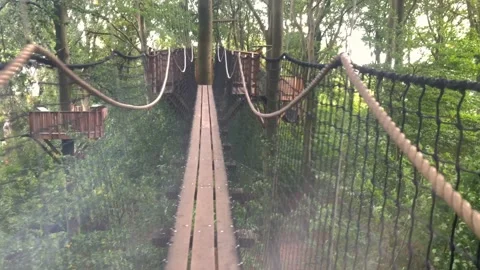 Point of view of a walk in a tree tops suspension bridge Stock Footage 140917086