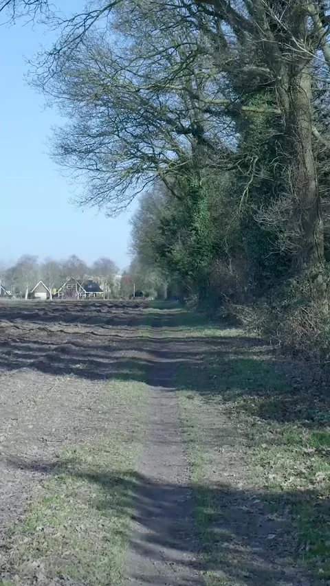 Point of view walking along a dirt path in the countryside Vidéo 334420934