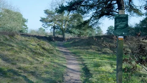 Point of view walking backwards on a dirt path in nature reserve Video stock 335027171