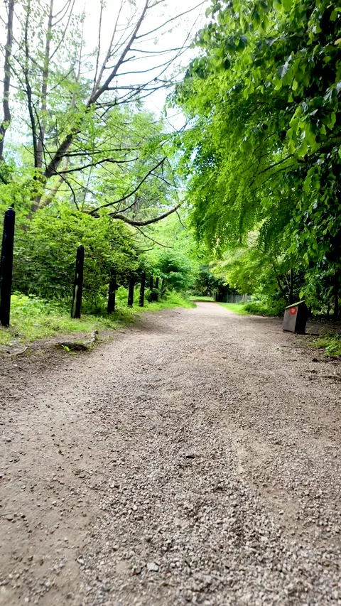 Point of view walking on a gravel path in the forest. vertical video Stock Footage 340856944