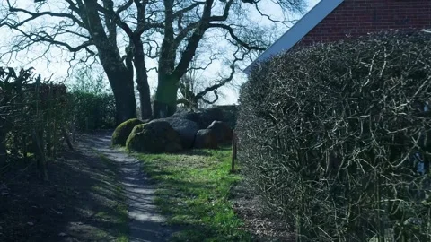 Point of view walking on a muddy path in a lush green forest Видео 332043568
