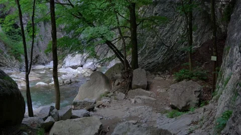 Point of view walking in a narrow alpine canyon Stock Footage 226805045