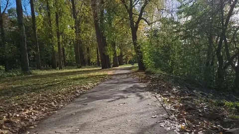 Point of view walking on a path in a park during autumn - time lapse Stock Footage 320959704