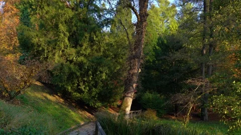 Point of view walking on a path in public park Stock Footage 220113751