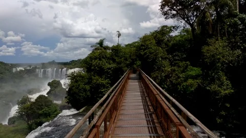 Point of view walking on a wooden pathwa... | Stock Video | Pond5