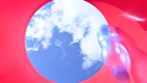 Point of view  Of Waste Bin Showing Plastic Bottle Falling Into Waste Bin Stock Footage 154659028