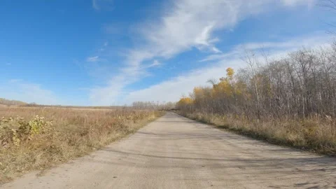 Point of view while driving along a dirt road surrounded by dry grass Stock Footage 294255982