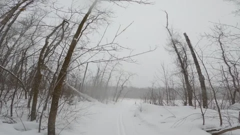 Point of view with wide angle lens while snowshoeing through a winter forest Stock Footage 326969740