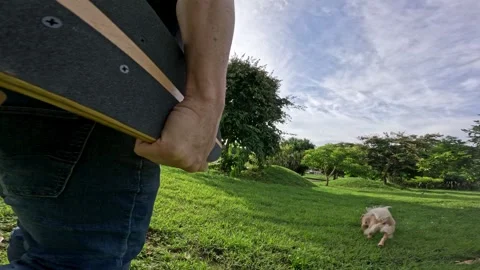 Point of view of a young man walking in a park carrying his skateboard in his Stock Footage 344881612