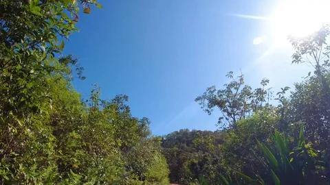 Point of View(POV) shot of Riding in a dense forest, India 動画素材 119314088