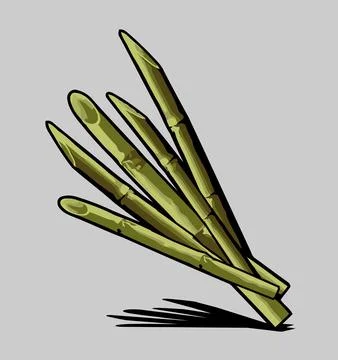 Pointed bamboo for design needs Stock Illustration