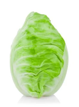 Pointed cabbage isolated on white background Fotos Stock