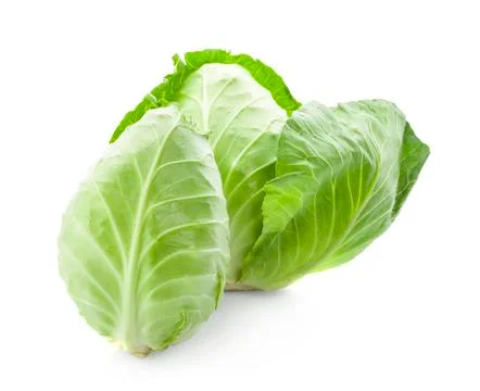 Pointed cabbage isolated on white background Stock Photos