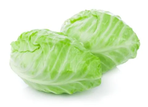 Pointed cabbage isolated on white background 스톡 사진