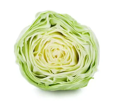 Pointed cabbage isolated on white background 写真素材