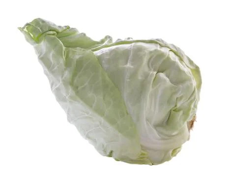Pointed cabbage on a white background Stock Photos