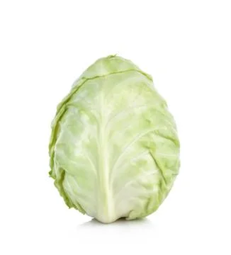 Pointed Cabbage on white background Stock Photos