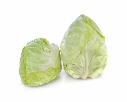 Pointed Cabbage on white background Stock Photos